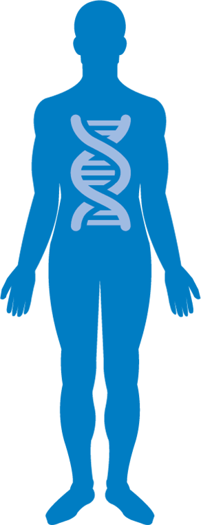 L’influenza del DNA